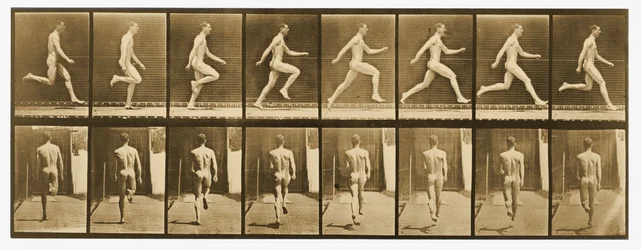 Immagine dalla serie 